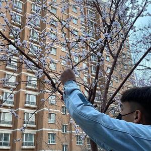 色欲久久一区二区高清精品
